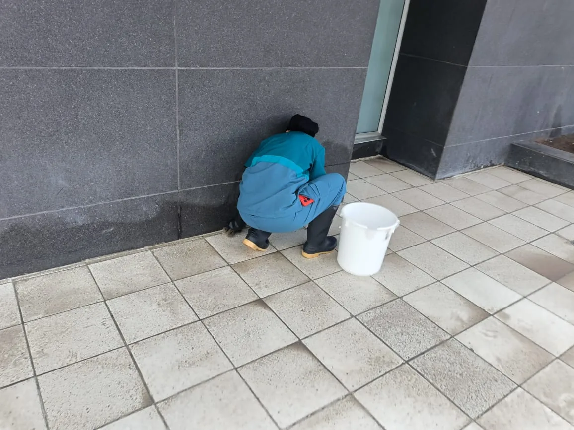 Lavado de fachada en granito